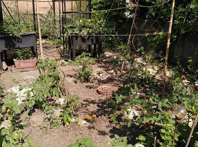 Appartamento La De La Maison Bleue Colmar